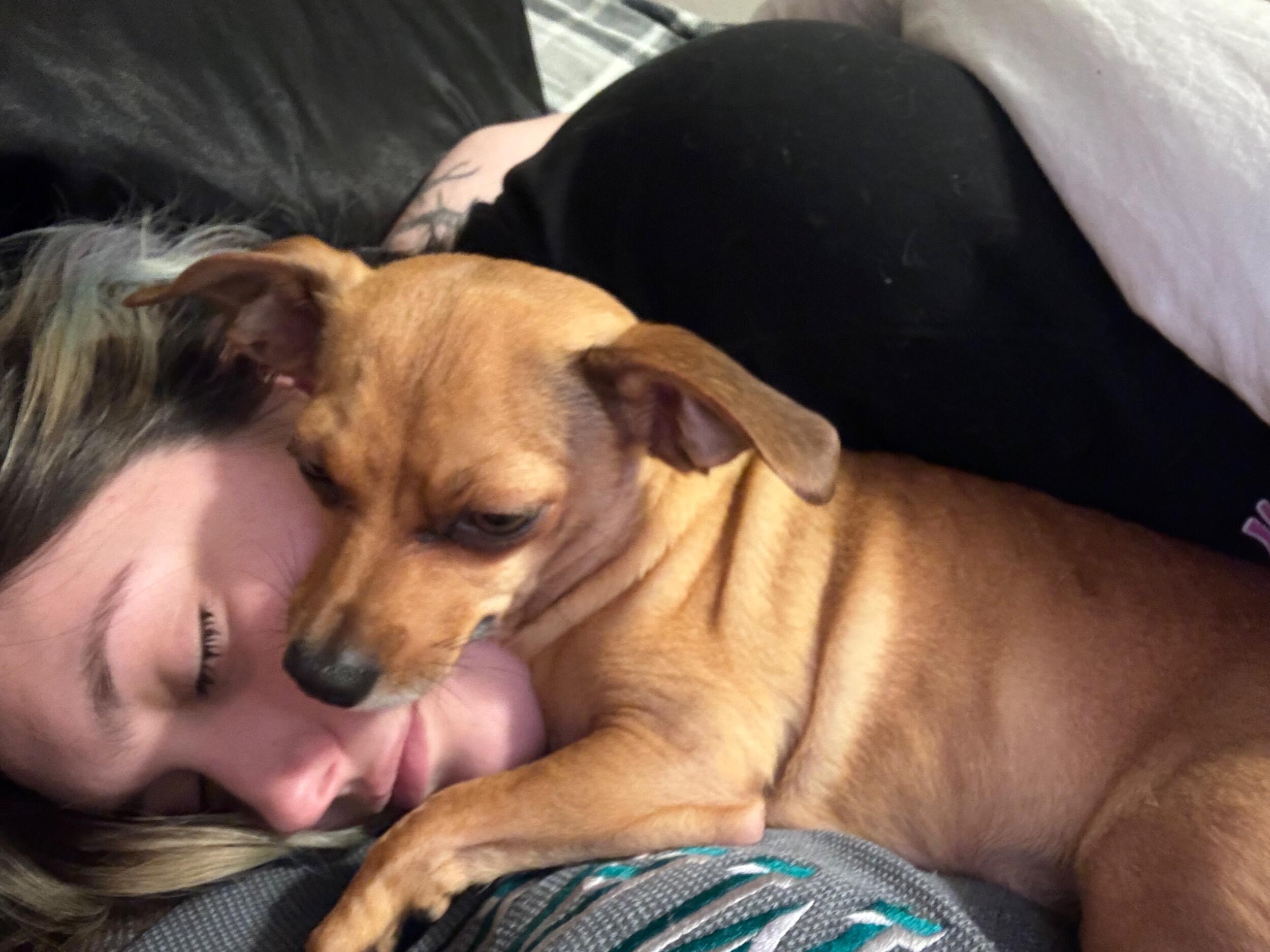 They’ve created so many happy, wholesome memories together. Gucci absolutely adores Sana, almost as much as he loves Alex! Their little family is filled with love, laughter, and unforgettable moments.