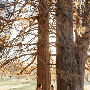 Gallery Photo 372