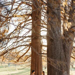 Gallery Photo 372