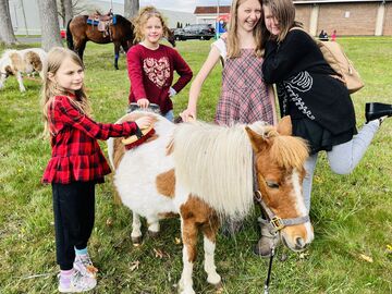 Ponies “R” Us & Mobile Petting Zoo - Pony Rides - New Boston, MI - Hero Main