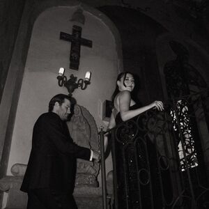 Gallery Photo 13