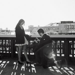Gallery Photo 10