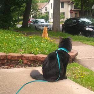 Gallery Photo 26