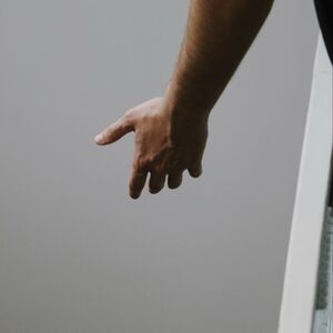 Gallery Photo 41