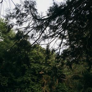 Gallery Photo 50