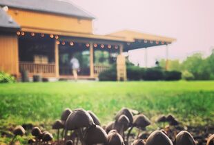 Barn Wedding Venues in Armada MI The Knot