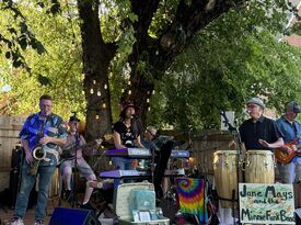 Jane Mays & The Minnie Funk band - Variety Band - Oklahoma City, OK - Hero Gallery 4