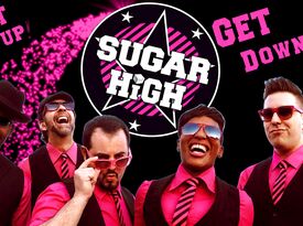 Sugar High - Dance Band - Orland Park, IL - Hero Gallery 3