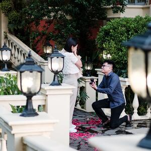 Gallery Photo 6