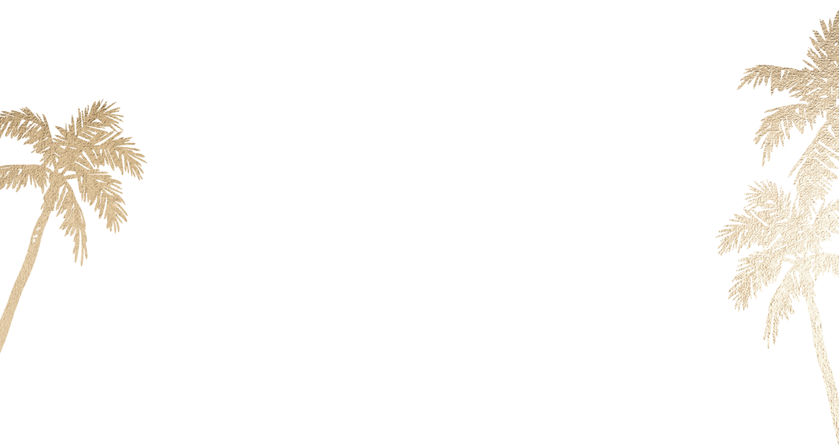 Top Theme Image
