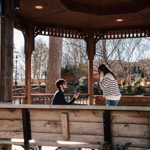 Gallery Photo 8