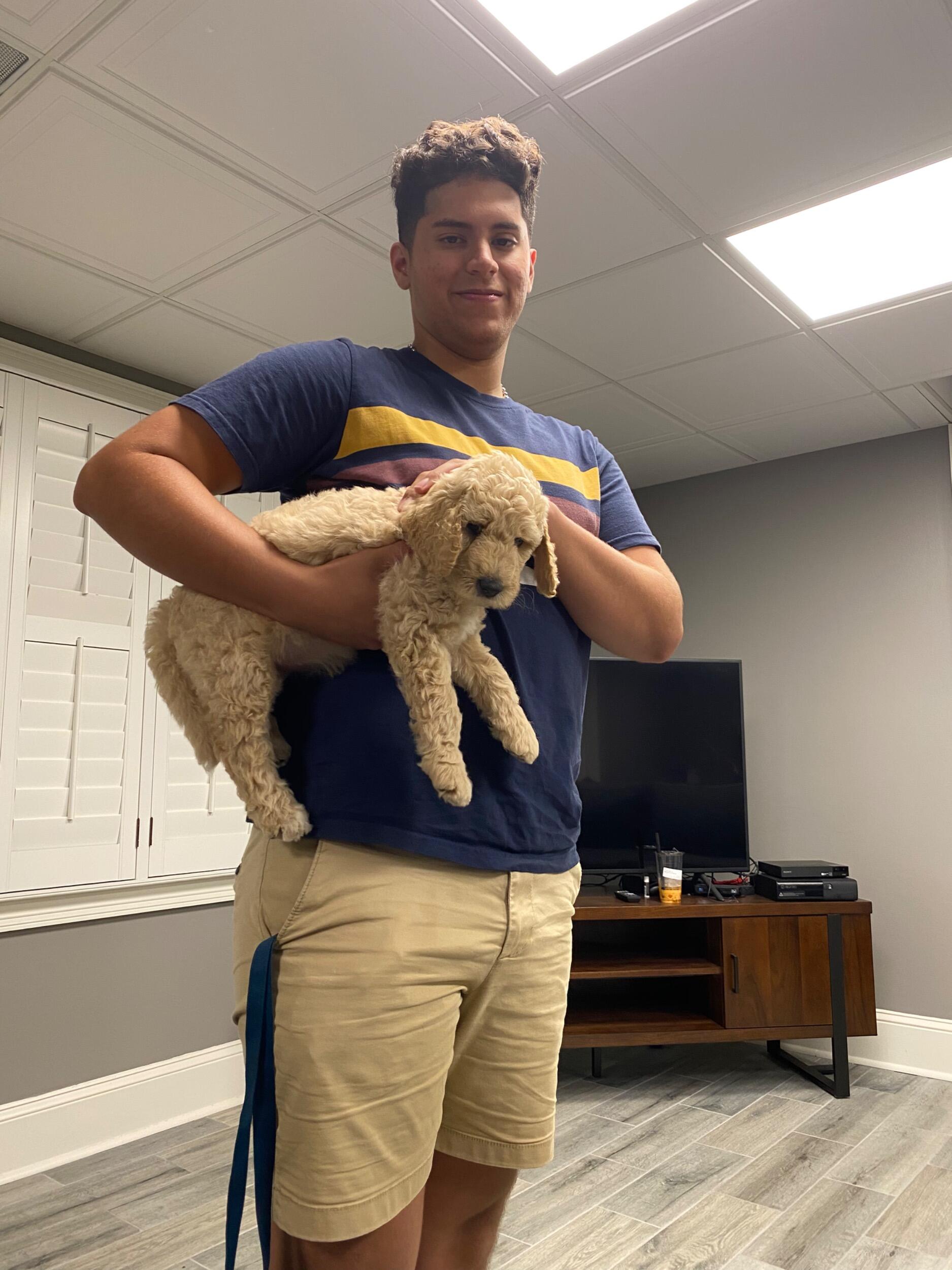 Dos semanas después de llevar a Milo a casa,
el papá de Milka apareció con otro cachorro — Gucci.
Y de repente, pasaron de tener un perro… a dos.

¿Y Daniel? Estaba encantadísimo de criar no uno… sino dos cachorros.
(Porque claro, ¿a quién no le encanta salir en el frio, porque si hacia un frio feo jaja  y el doble de ladridos?)

Aunque hubo caos, Milka y Daniel no lo cambiarían por nada.
Su hogar se volvió más loco — y su corazón, mucho más lleno.
Es un recuerdo que siempre atesorarán