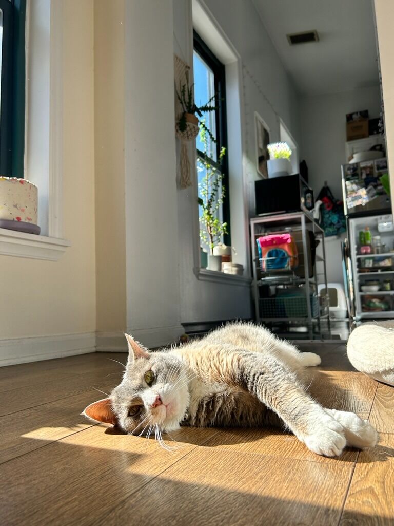 Gemma finds the sun (I know I have too many pictures of gem on this timeline, but I mean look at her she's the cutest!)