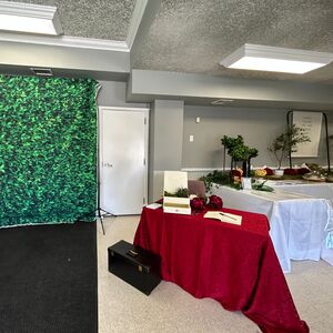 Gallery Photo 12