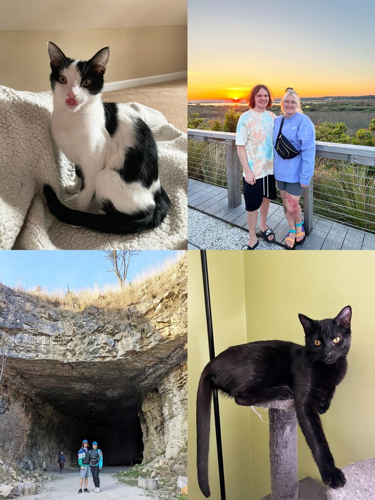They have spent the last 4 years fixing up their house, adopting 2 more cats, Mabel & Gunk, fostering many cats, traveling, celebrating 5 years together, and spending time with family & friends. 