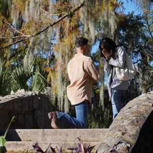 Gallery Photo 26