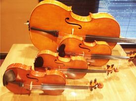 PERFECT HARMONY STRINGS: TEXAS - String Quartet - Houston, TX - Hero Gallery 1
