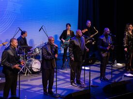 The Tee Tones - Oldies Band - New York City, NY - Hero Gallery 3