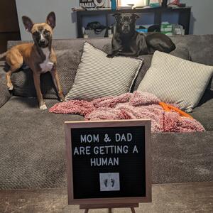 Gallery Photo 21