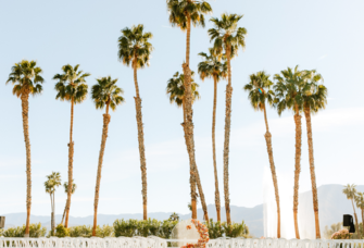 Outdoor wedding ceremony venue in California with palm tree background, how to get married in California