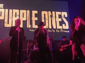 The Purple Ones - Insatiable Tribute to Prince - Prince Tribute Act - Oakland, CA - Hero Gallery 3