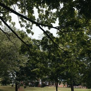 Gallery Photo 34