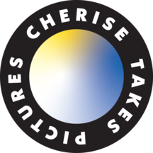 Vendor Logo