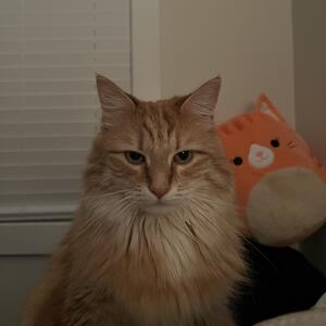 Gallery Photo 23