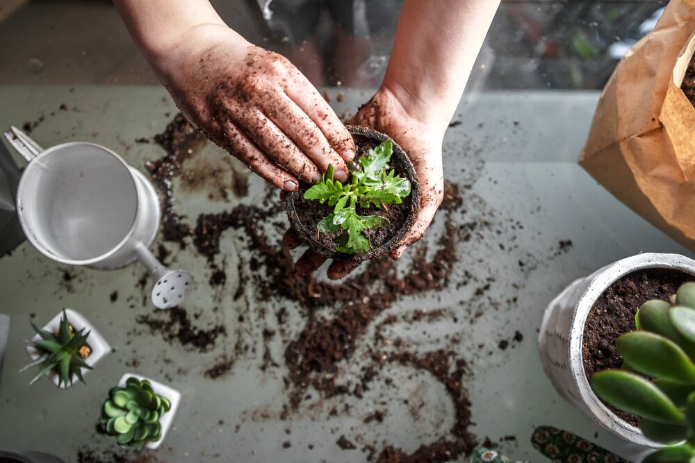 gardening party 