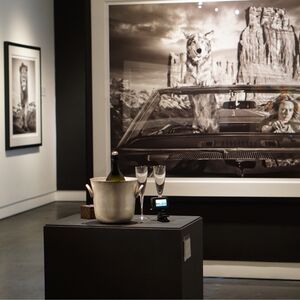 Gallery Photo 10