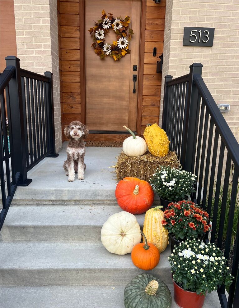 Chloe and Kevon bought their first house together in Pittsburgh, Chloe's hometown - Koski was the most excited for his new backyard!