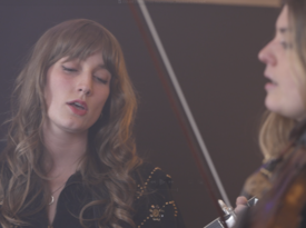 The Heartstrings - Americana Band - Nashville, TN - Hero Gallery 2