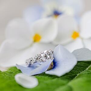 Gallery Photo 160