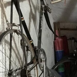 Gallery Photo 15