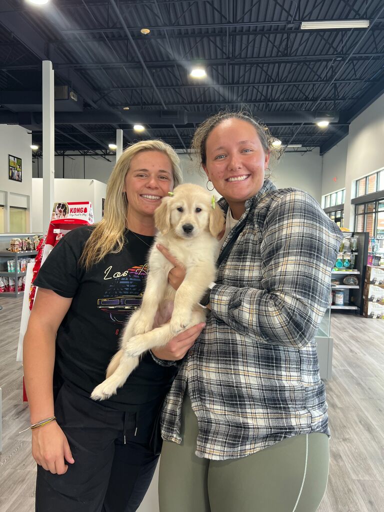 Say hello to Oakley. This was the day we brought home our first fur baby, Oakley. She was only 8 weeks old and little did we know, she was our world. 
