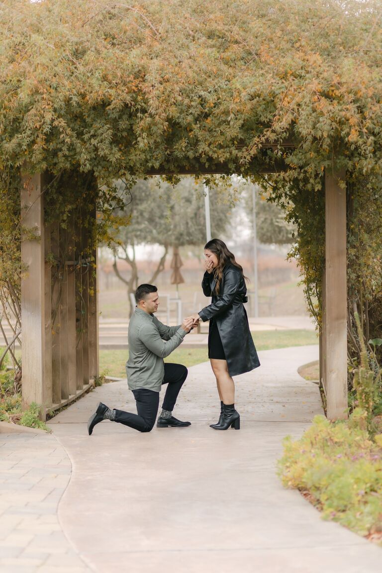 YES Day! The day Anthony asked Shay to marry him!