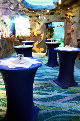 Downtown Aquarium Denver  Reception Venues Denver  CO