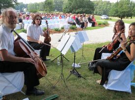 Silverleaf String Quartet - Classical Quartet - Richmond, VA - Hero Gallery 4