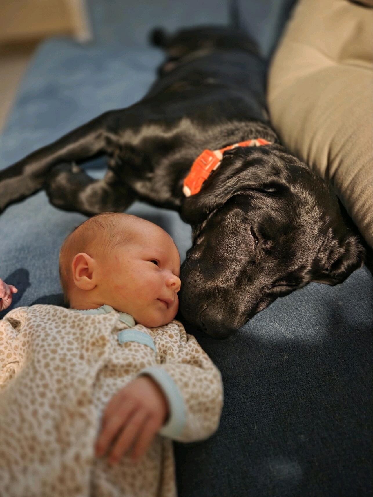 The day we became a family of 4!👨‍👩‍👧🐾