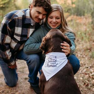 Gallery Photo 34