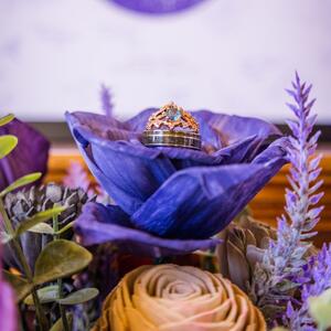 Gallery Photo 52
