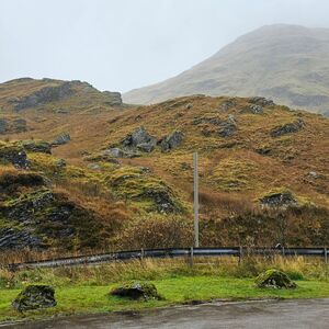 Gallery Photo 218
