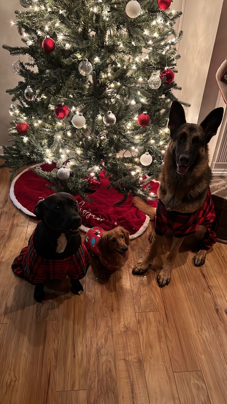 Our first Christmas together! We decorated the tree before Thanksgiving in true Brad and Keke fashion. We tried to dress the dogs up, but we couldn’t find the right sizes for their pjs.