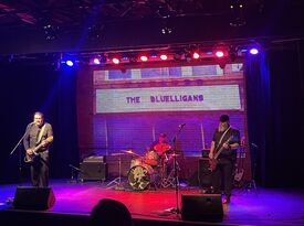 The Bluelligans - Blues Band - Greeley, CO - Hero Gallery 1