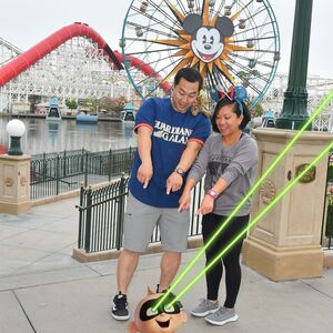 Gallery Photo 44
