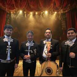 Mariachi Artistico, profile image