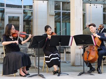 Joy Strings - String Quartet - Cincinnati, OH - Hero Main