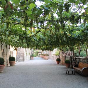 Gallery Photo 14