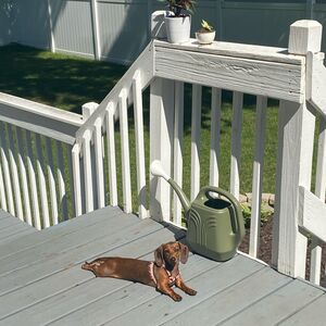 Gallery Photo 7