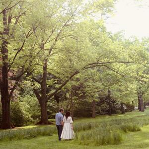 Gallery Photo 6